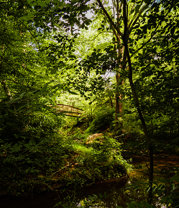 Asheville Botanical Gardens Bridge