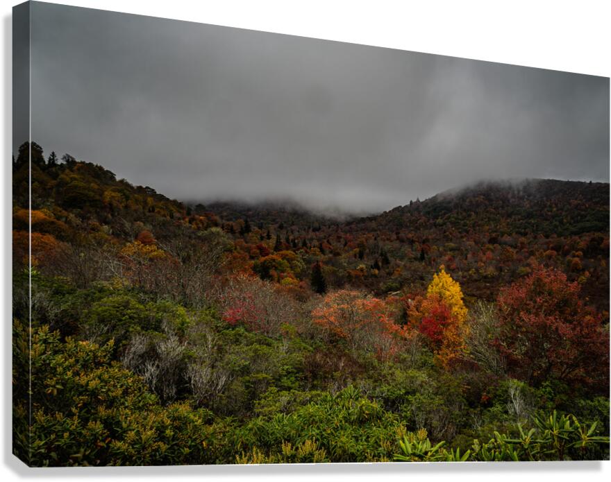 Graveyard Fields 2 Canvas Print