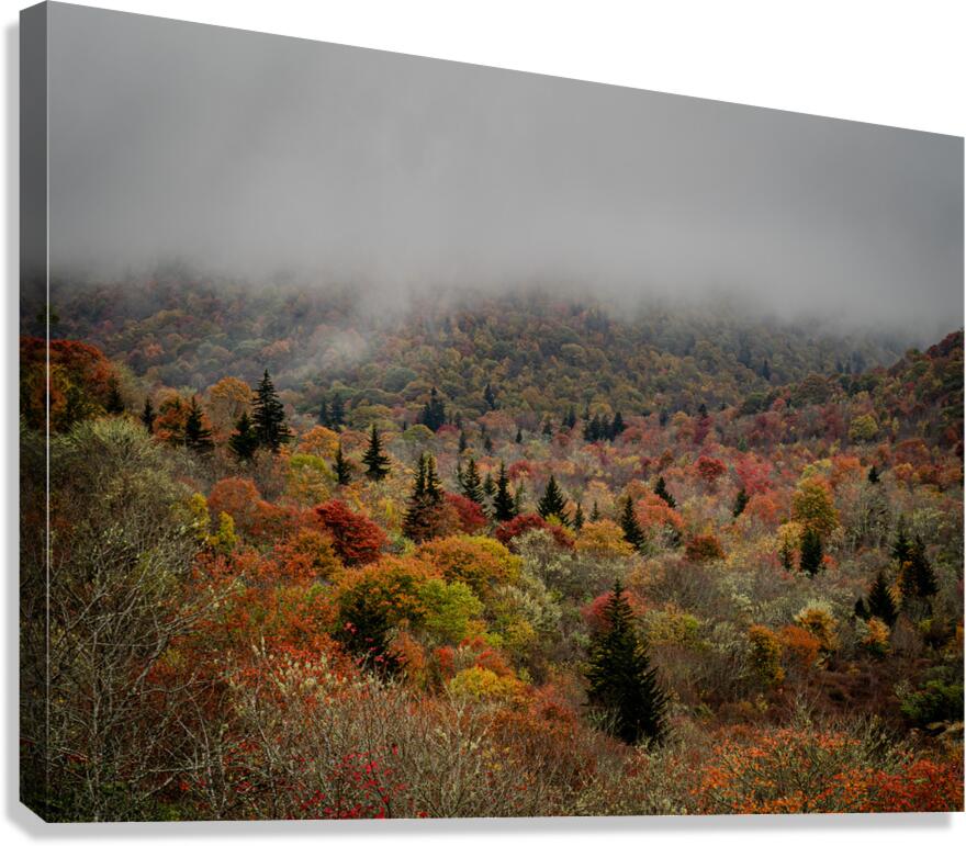 Graveyard Fields 1 Canvas Print