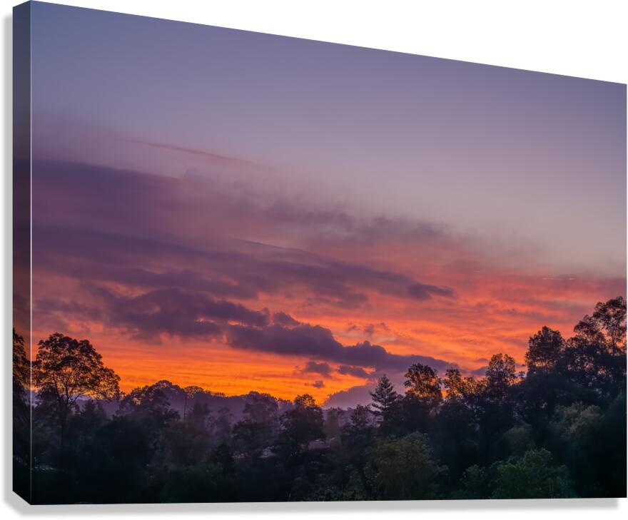 Sunrise Delight Canvas Print