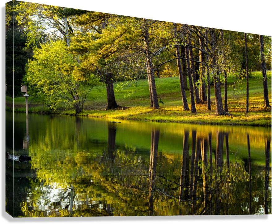 Reflections  2 Canvas Print