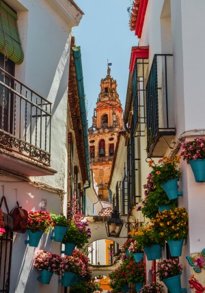 Calleja de las Flores