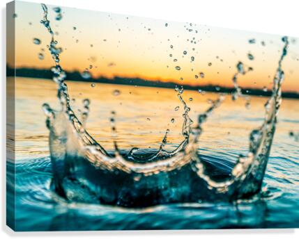 The Crown Canvas Print