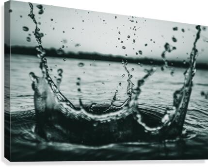 The Crown Canvas Print