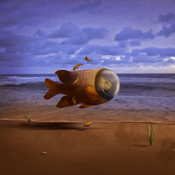 Aclimatação by Sharlling Jheff