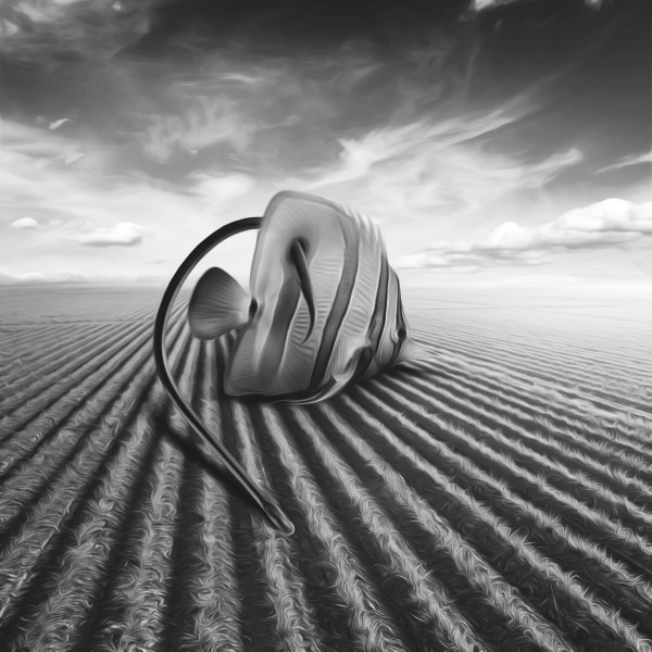 Scared by Sharlling Jheff