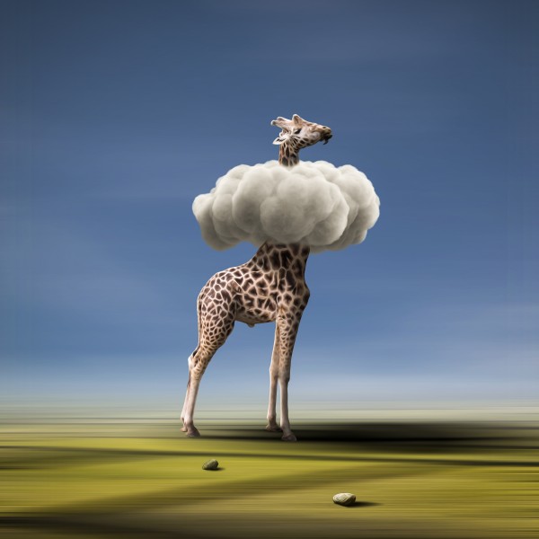 Trapeze Artists with Unusual Trapeze Print