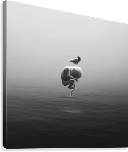 Double Impossibilitye Canvas Print