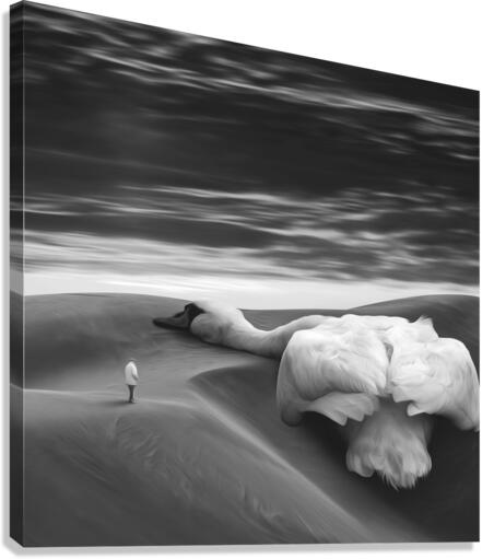 Love All Canvas Print