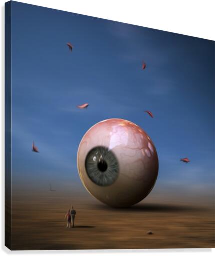 Sui generis Canvas Print