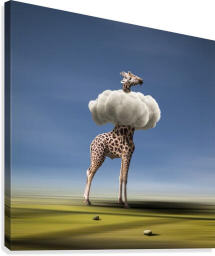 Trapeze Artists with Unusual Trapeze Canvas Print