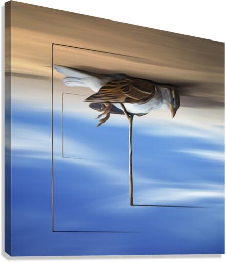 Avis Rara Canvas Print