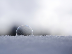 Soap Bubble