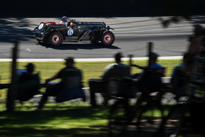Stutz and Camp Chairs