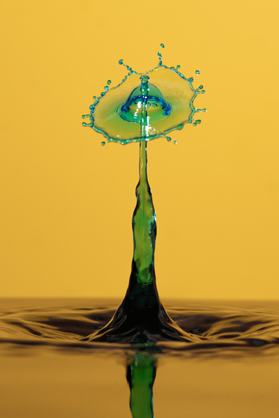 Waterdrop 5 Print