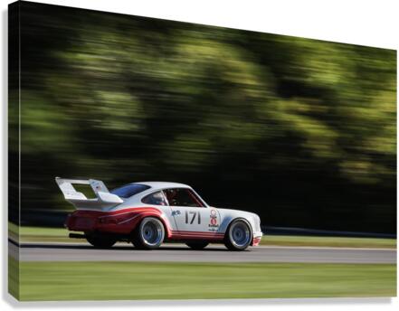 RSR Canvas Print