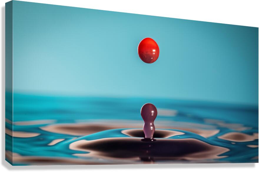 Waterdrop 1 Canvas Print