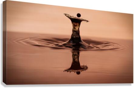 Waterdrop 2 Canvas Print