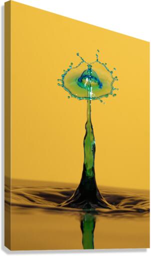 Waterdrop 5 Canvas Print
