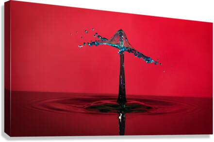 Waterdrop 3 Canvas Print