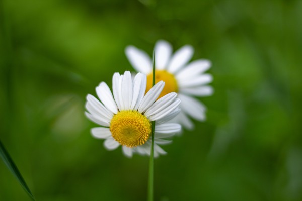 Connect With Things Around You by JDWPhotography
