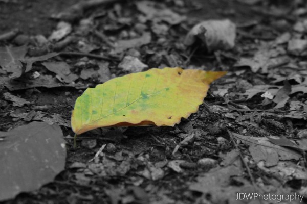 Changing by JDWPhotography