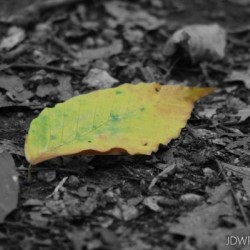 Changing