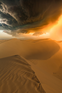 Desert Storm