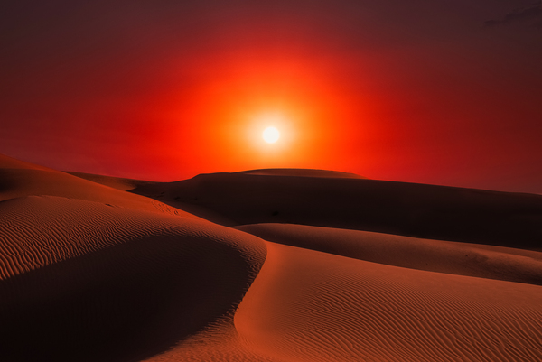 Desert Passion by Rachael Robinson 