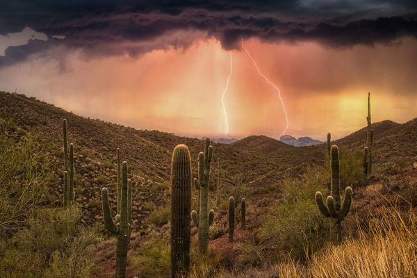 Desert lightning Print