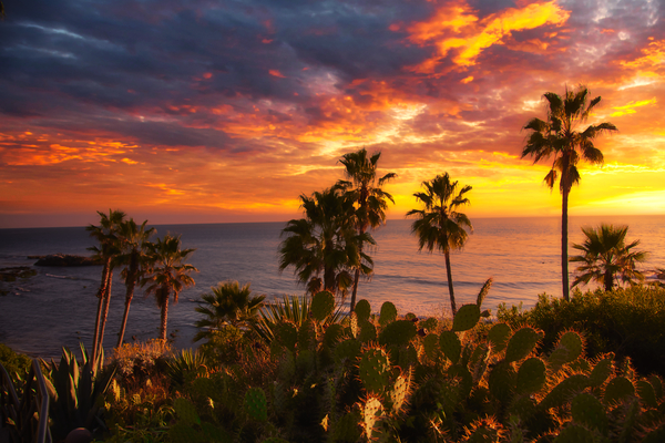 Sunset at the Beach by Rachael Robinson 