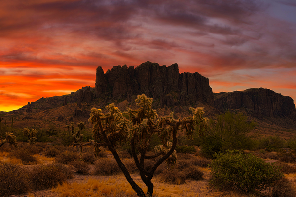 Superstition Mountain Morning by Rachael Robinson 