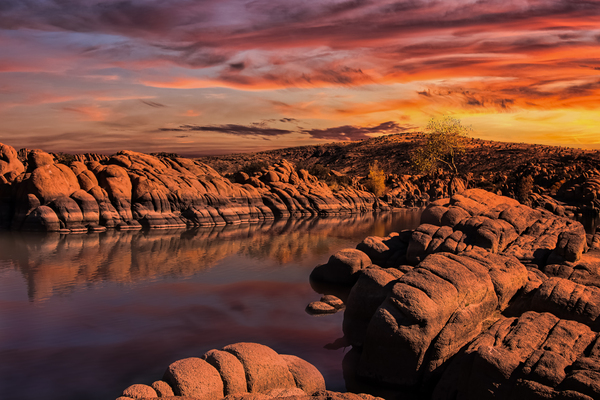 Watson lake  Az Print