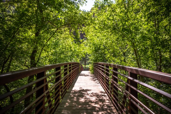 Westfork Az by Rachael Robinson 