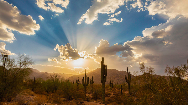 White Tanks Desert Sunset by Rachael Robinson 