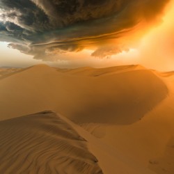 Desert Storm