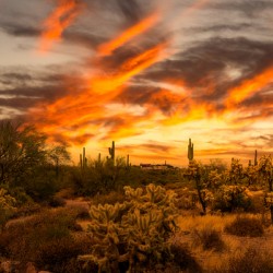 Southwest Sunset