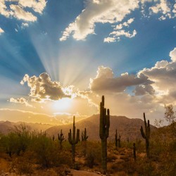 White Tanks Desert Sunset