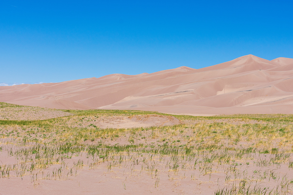 Great Sand Dunes National Park  by Emily Castro