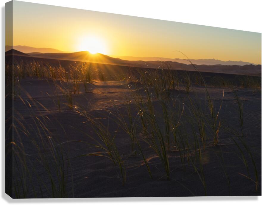 Sand Dunes Sunset Canvas Print