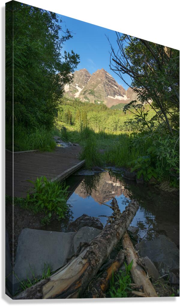 Reflections Canvas Print