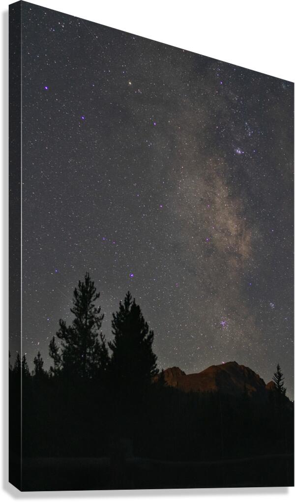 Starry Night Canvas Print