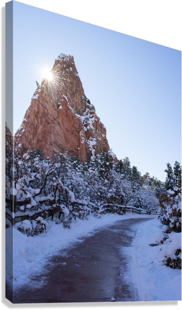 Sun burst Canvas Print