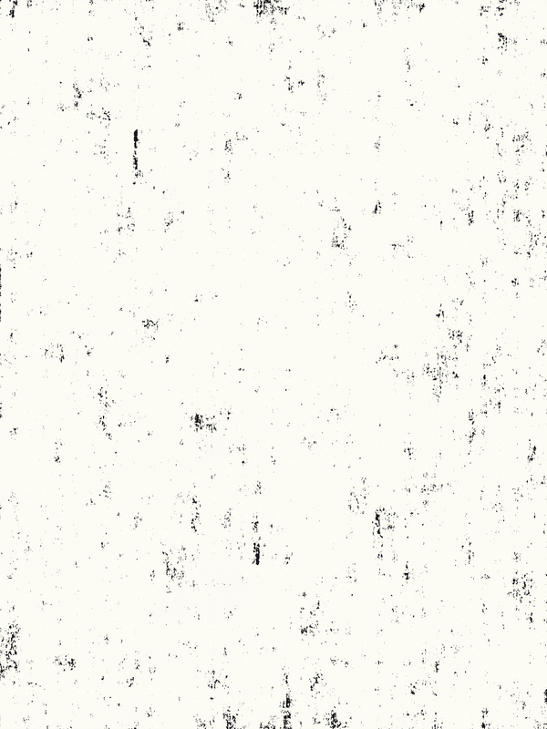 F S 119  Print