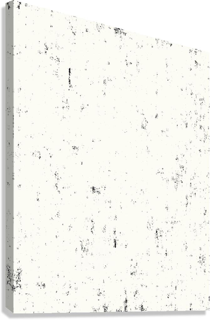 F S 119  Canvas Print