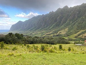 IMG 7697