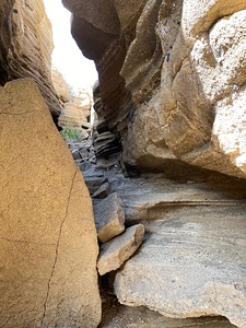 IMG 0907