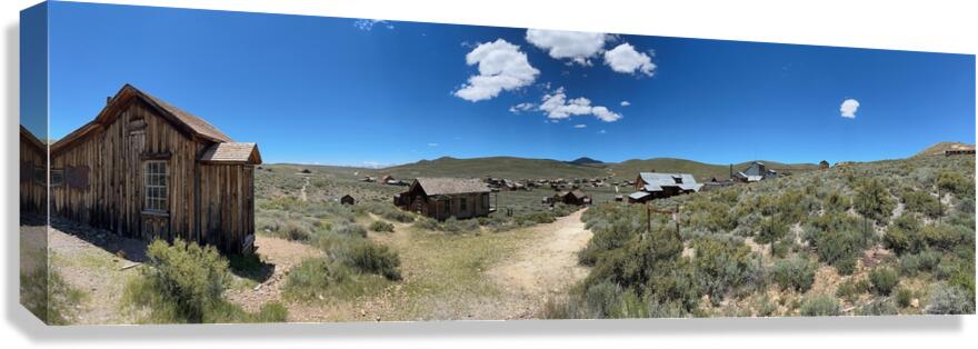 IMG 5049 Canvas Print