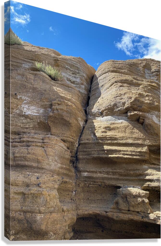 IMG 0911 Canvas Print