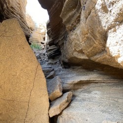 IMG 0907